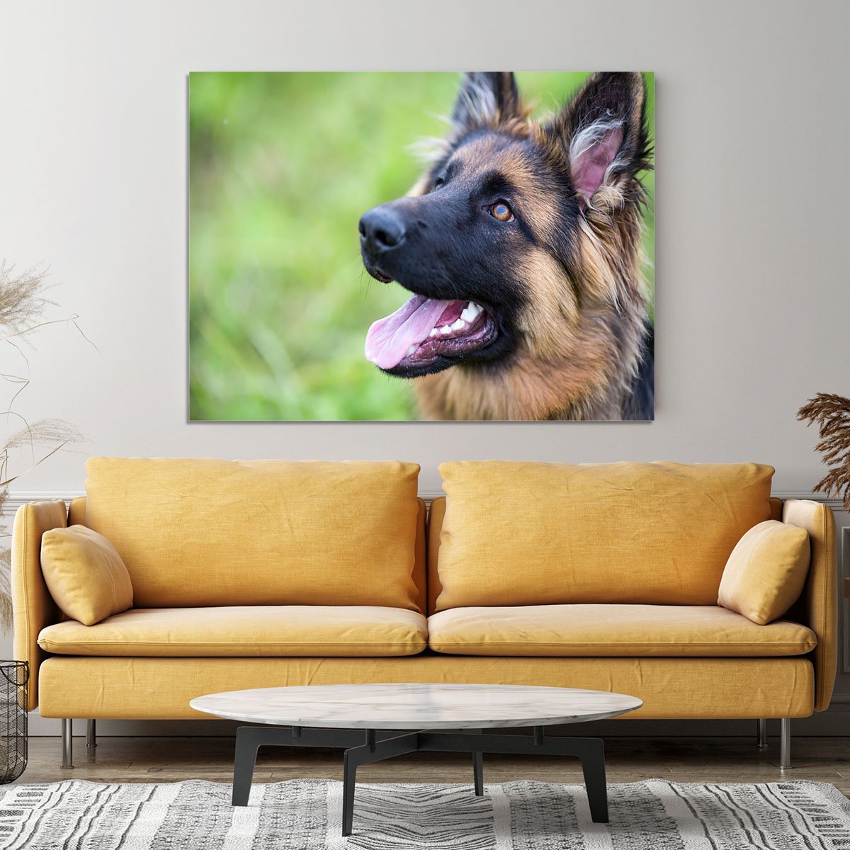 Young dog german shepherd on the grass in the park Canvas Print or Poster