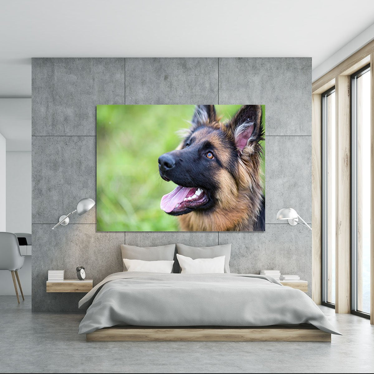 Young dog german shepherd on the grass in the park Canvas Print or Poster