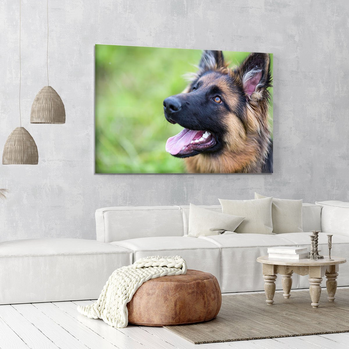 Young dog german shepherd on the grass in the park Canvas Print or Poster