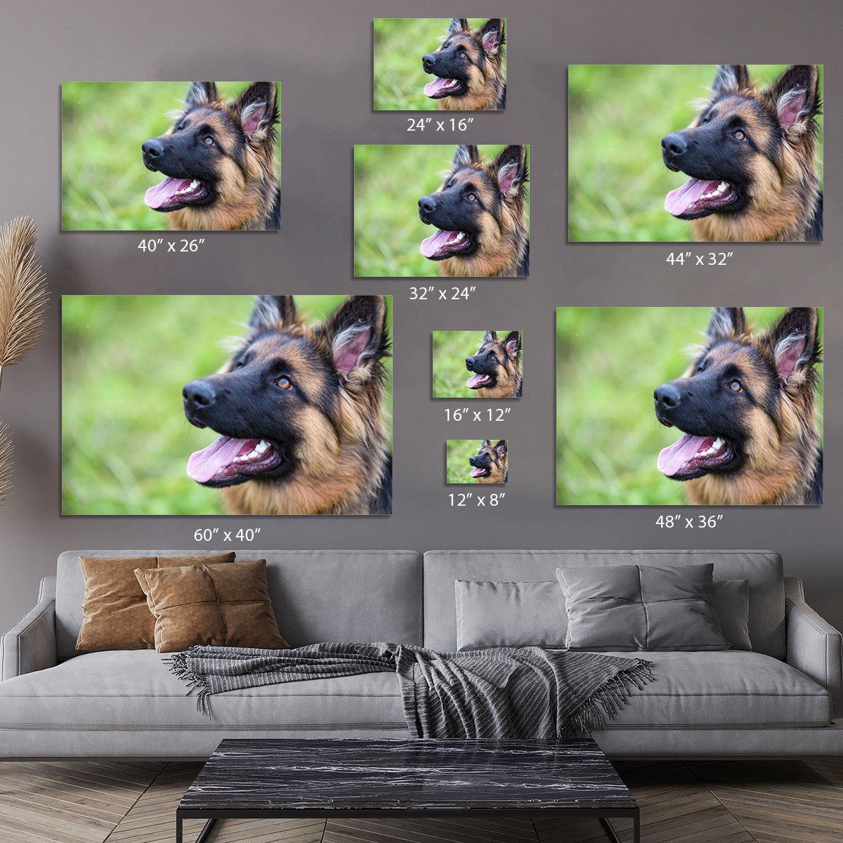 Young dog german shepherd on the grass in the park Canvas Print or Poster