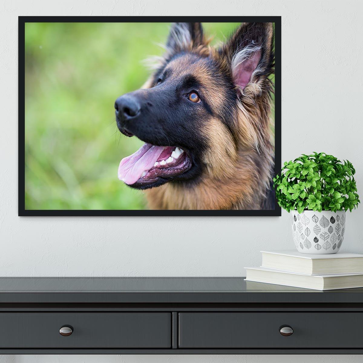 Young dog german shepherd on the grass in the park Framed Print - Canvas Art Rocks - 2