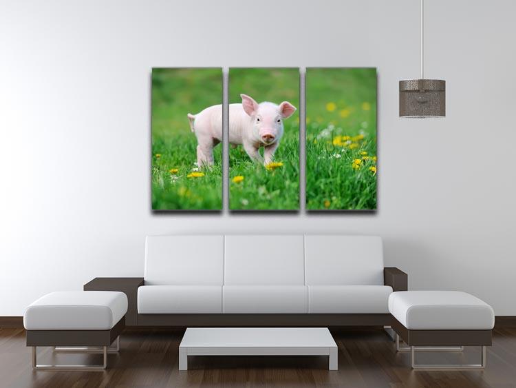 Young funny pig 3 Split Panel Canvas Print - Canvas Art Rocks - 3