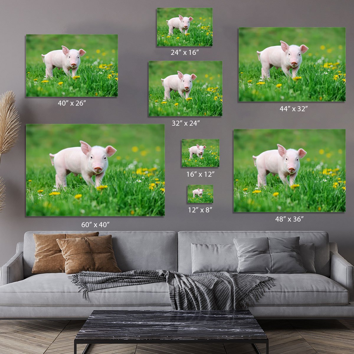 Young funny pig Canvas Print or Poster