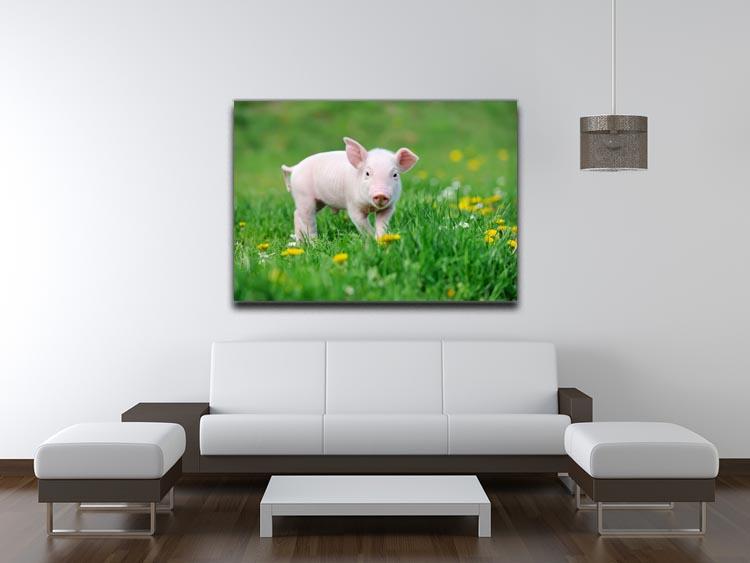 Young funny pig Canvas Print or Poster - Canvas Art Rocks - 4