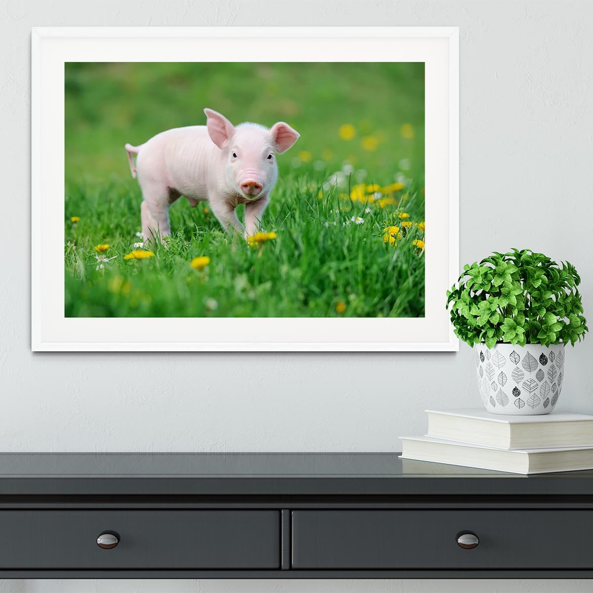 Young funny pig Framed Print - Canvas Art Rocks - 5