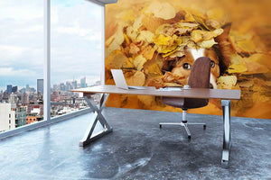 Young red border collie dog playing with leaves Wall Mural Wallpaper - Canvas Art Rocks - 3