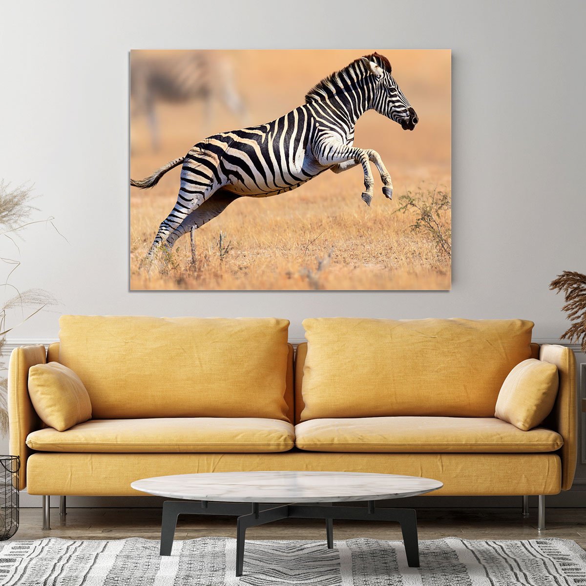 Zebra Canvas Print or Poster
