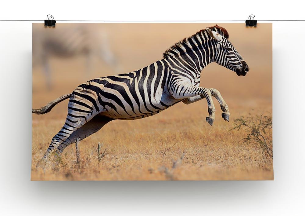 Zebra Canvas Print or Poster - Canvas Art Rocks - 2