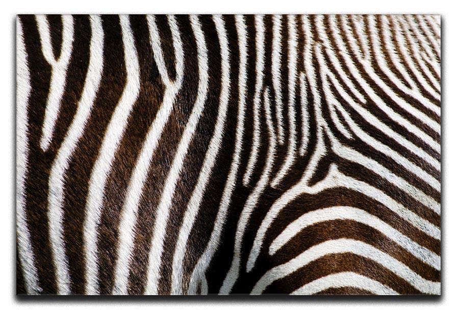 Zebra Fur Canvas Print or Poster  - Canvas Art Rocks - 1
