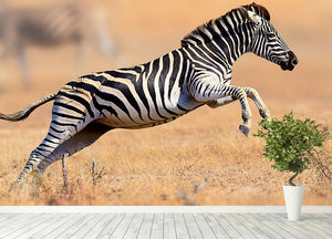 Zebra Wall Mural Wallpaper - Canvas Art Rocks - 4