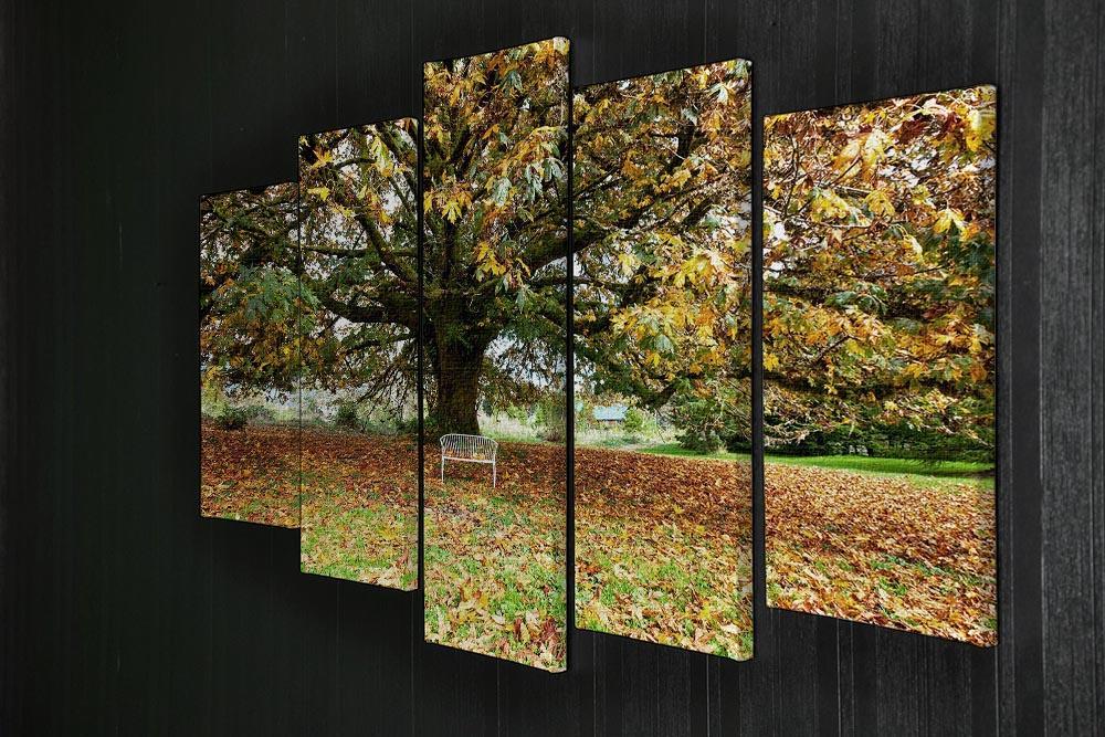 autumn leaves 5 Split Panel Canvas  - Canvas Art Rocks - 2