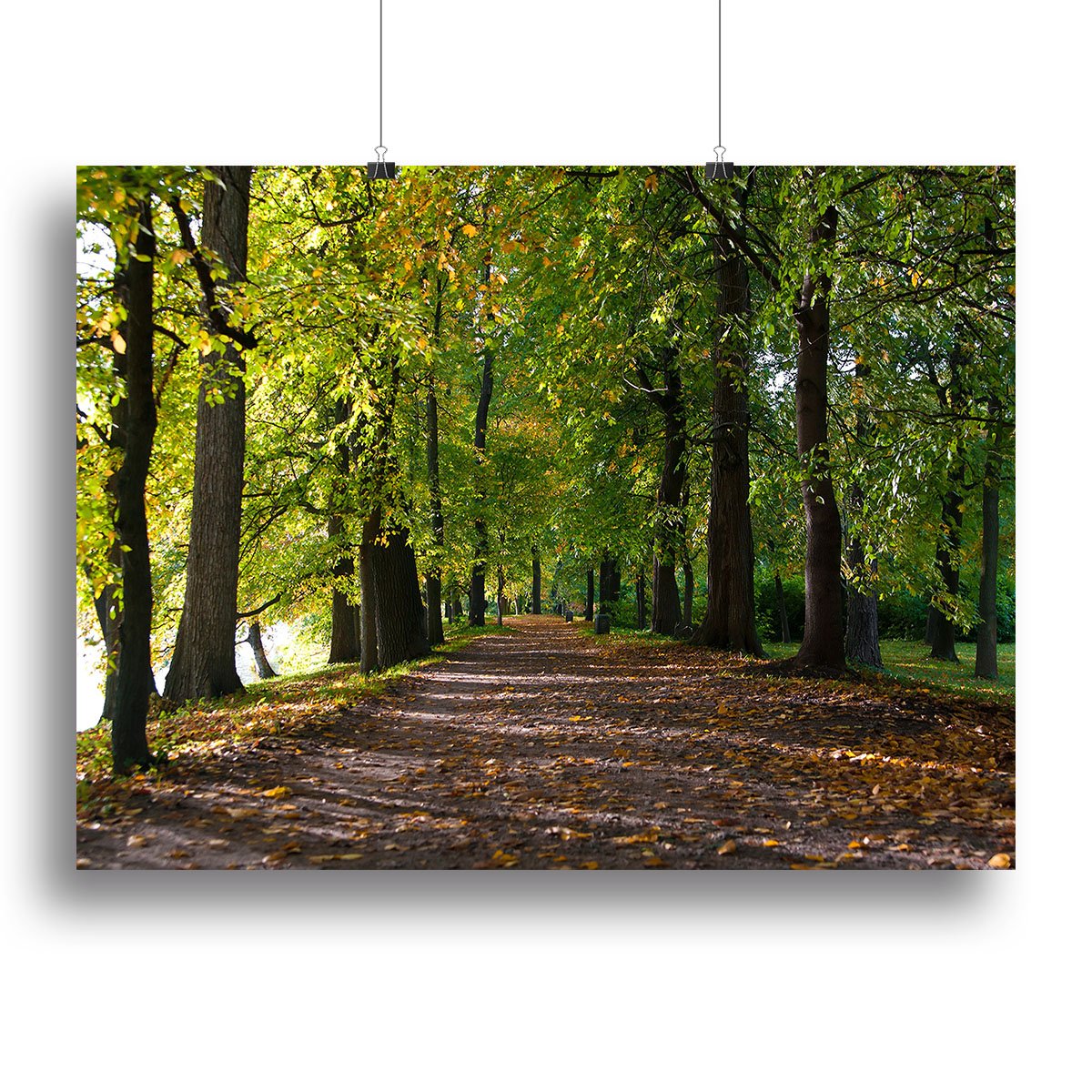 autumn road with leaves in park Canvas Print or Poster