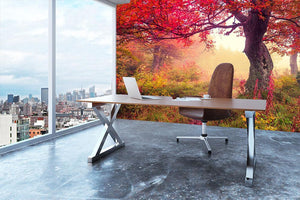 autumn trees in forest Wall Mural Wallpaper - Canvas Art Rocks - 3