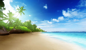 beach in sunset time on Mahe island Wall Mural Wallpaper - Canvas Art Rocks - 1