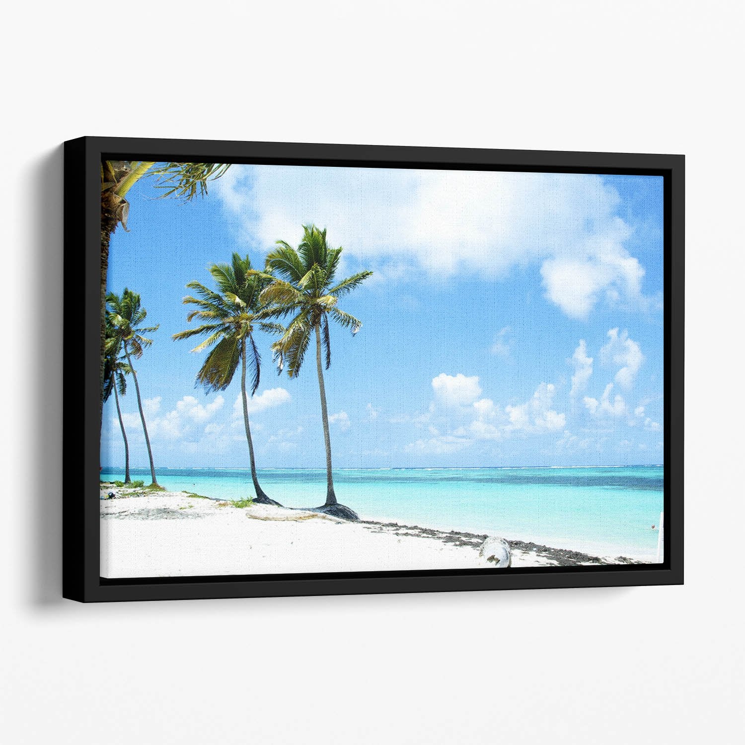 beaches Floating Framed Canvas