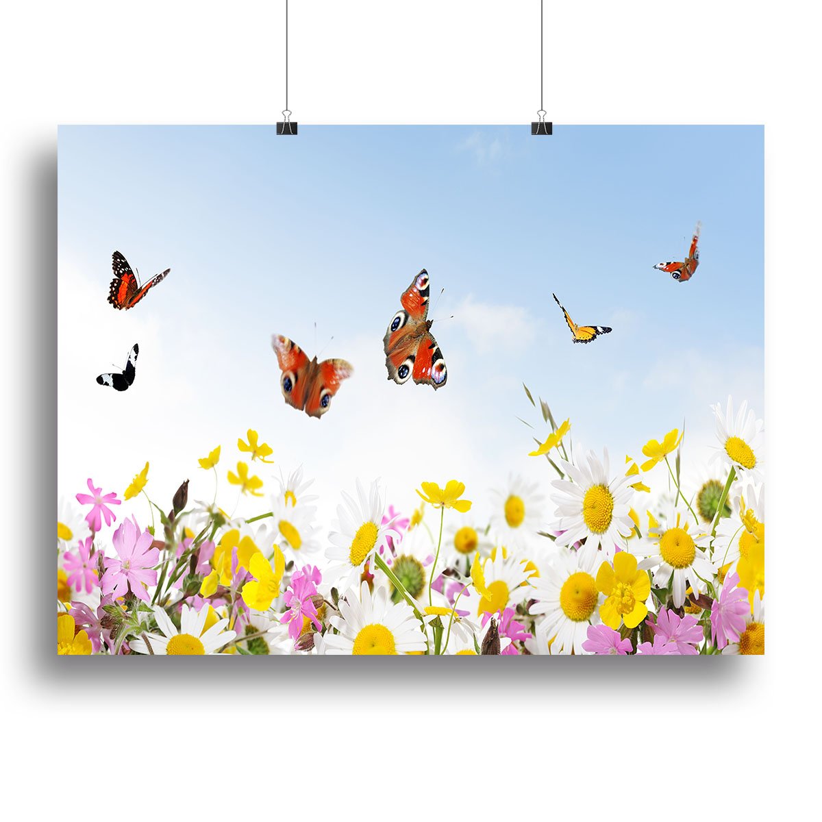 beauty in nature Canvas Print or Poster