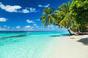 coco palms on paradise beach Wall Mural Wallpaper - Canvas Art Rocks - 1