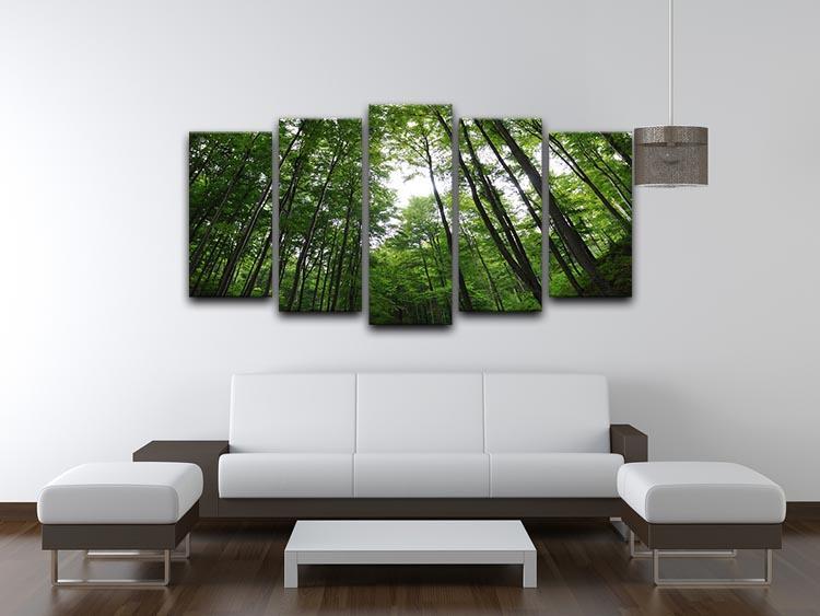 deciduous forest 5 Split Panel Canvas  - Canvas Art Rocks - 3