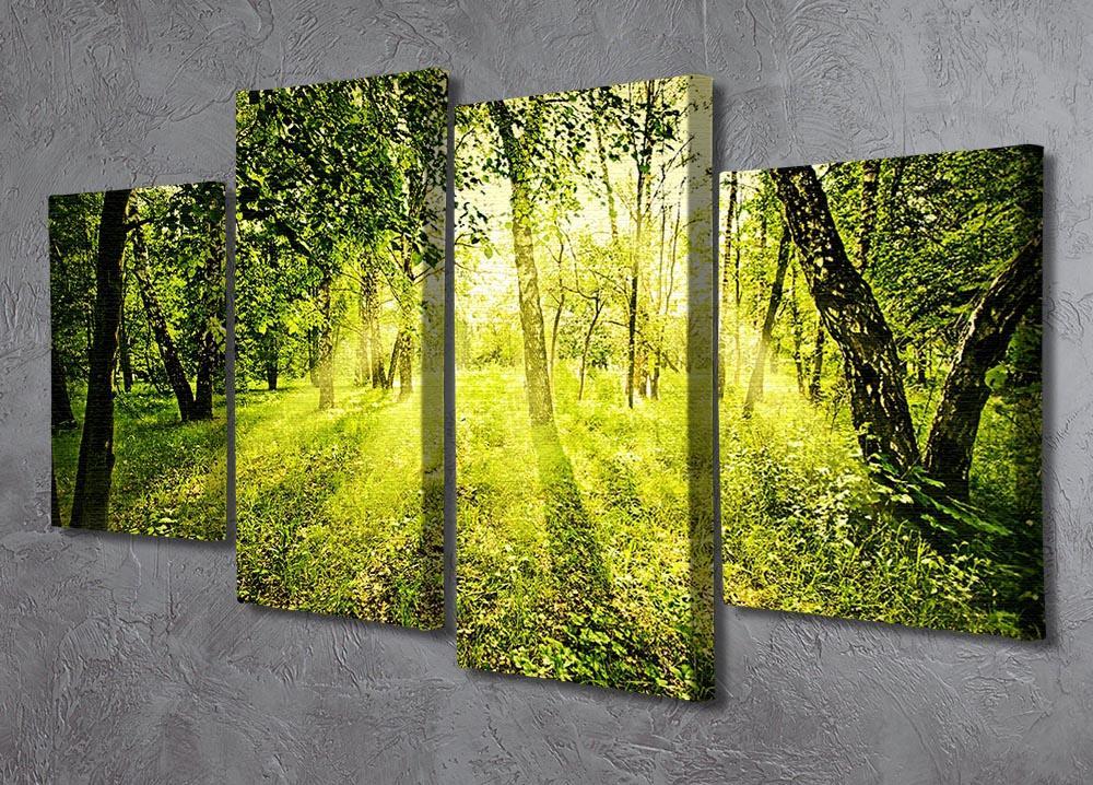 deep forest on summer morning 4 Split Panel Canvas  - Canvas Art Rocks - 2