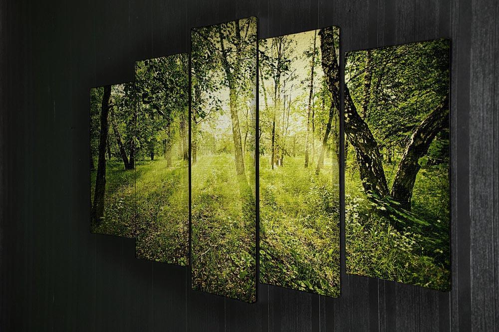 deep forest on summer morning 5 Split Panel Canvas  - Canvas Art Rocks - 2