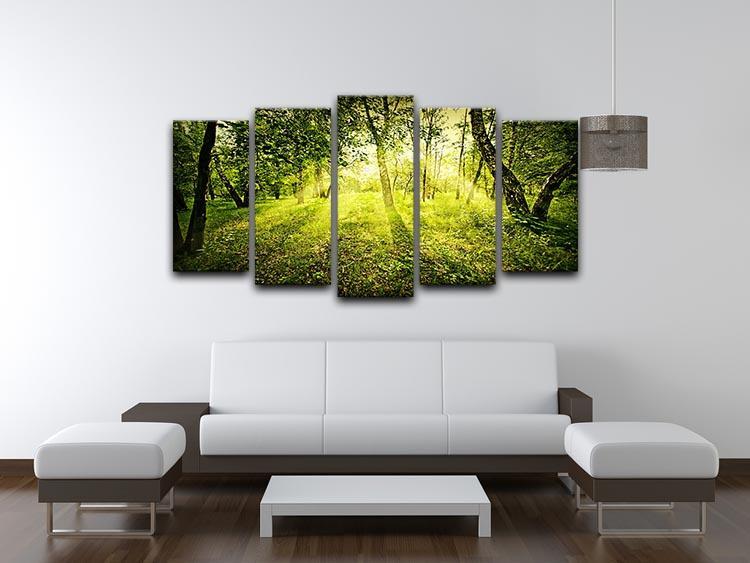 deep forest on summer morning 5 Split Panel Canvas  - Canvas Art Rocks - 3