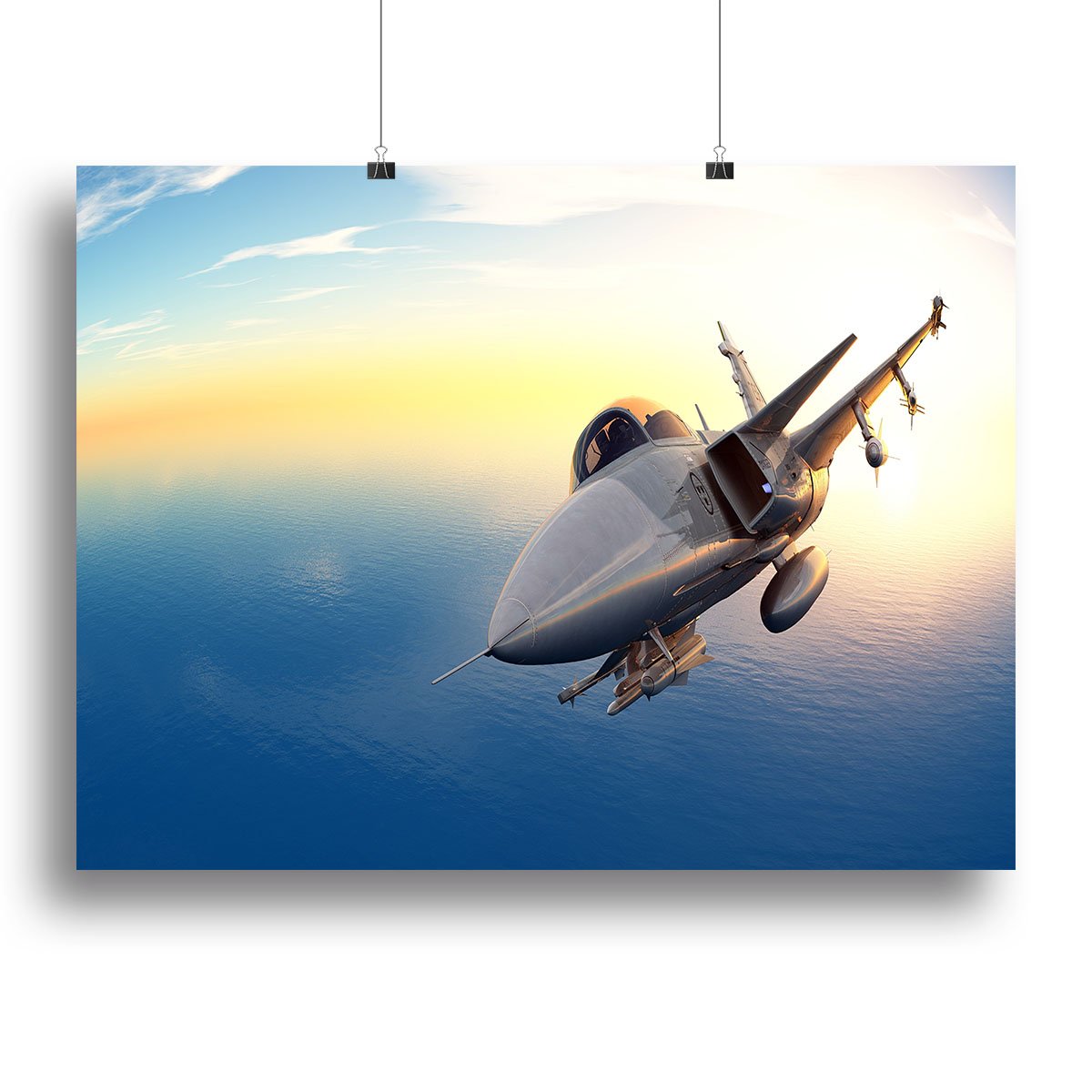 fighter 2 Canvas Print or Poster