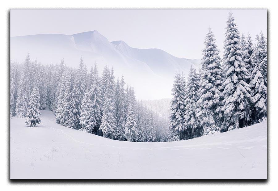 foggy winter landscape Canvas Print or Poster  - Canvas Art Rocks - 1