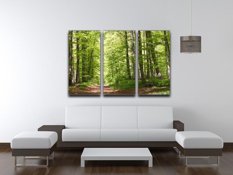forest during spring 3 Split Panel Canvas Print - Canvas Art Rocks - 3
