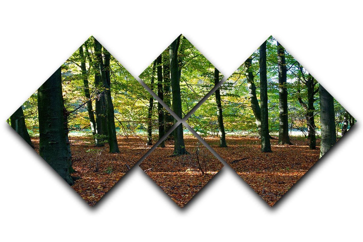 forrest edge in autumn 4 Square Multi Panel Canvas  - Canvas Art Rocks - 1