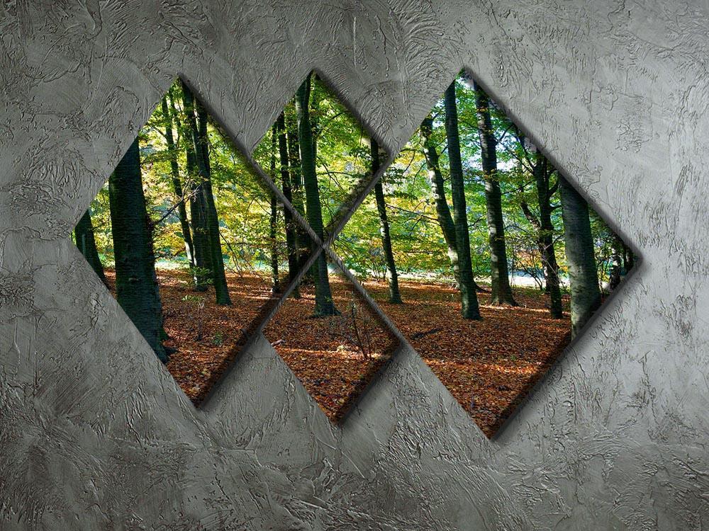 forrest edge in autumn 4 Square Multi Panel Canvas  - Canvas Art Rocks - 2