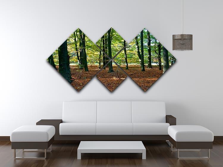 forrest edge in autumn 4 Square Multi Panel Canvas  - Canvas Art Rocks - 3