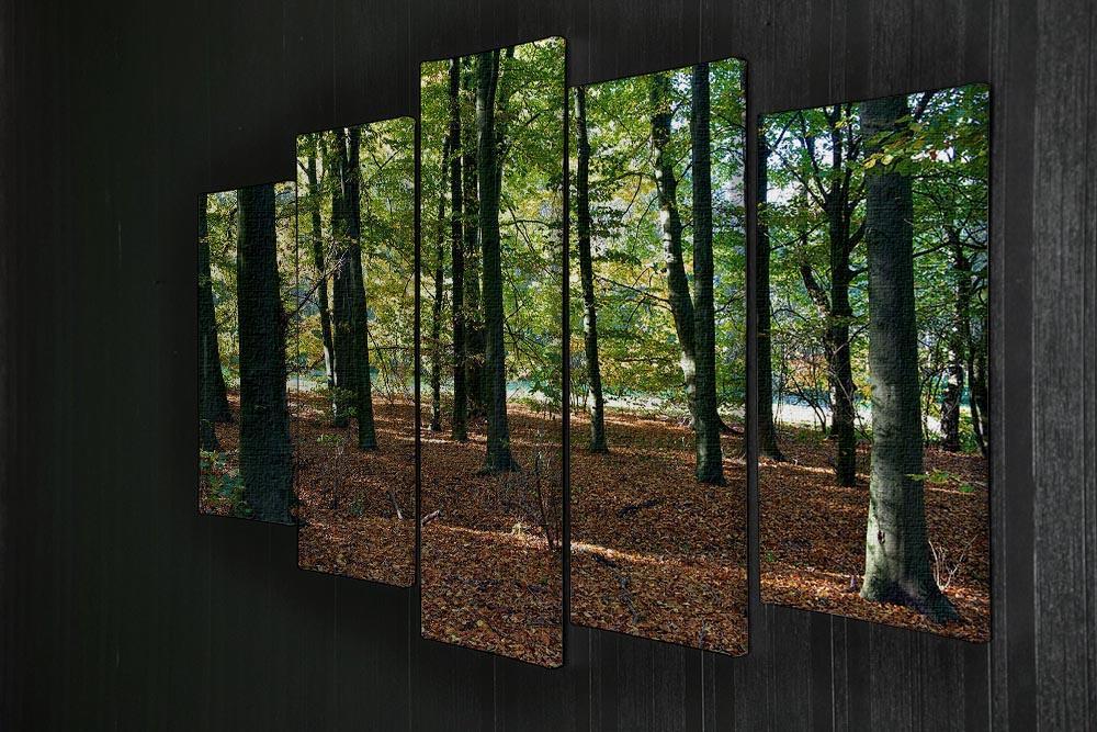 forrest edge in autumn 5 Split Panel Canvas  - Canvas Art Rocks - 2