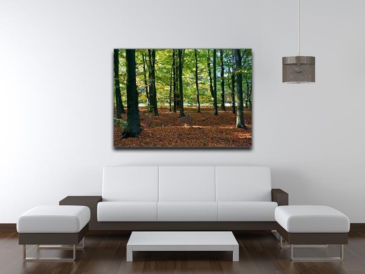 forrest edge in autumn Canvas Print or Poster - Canvas Art Rocks - 4