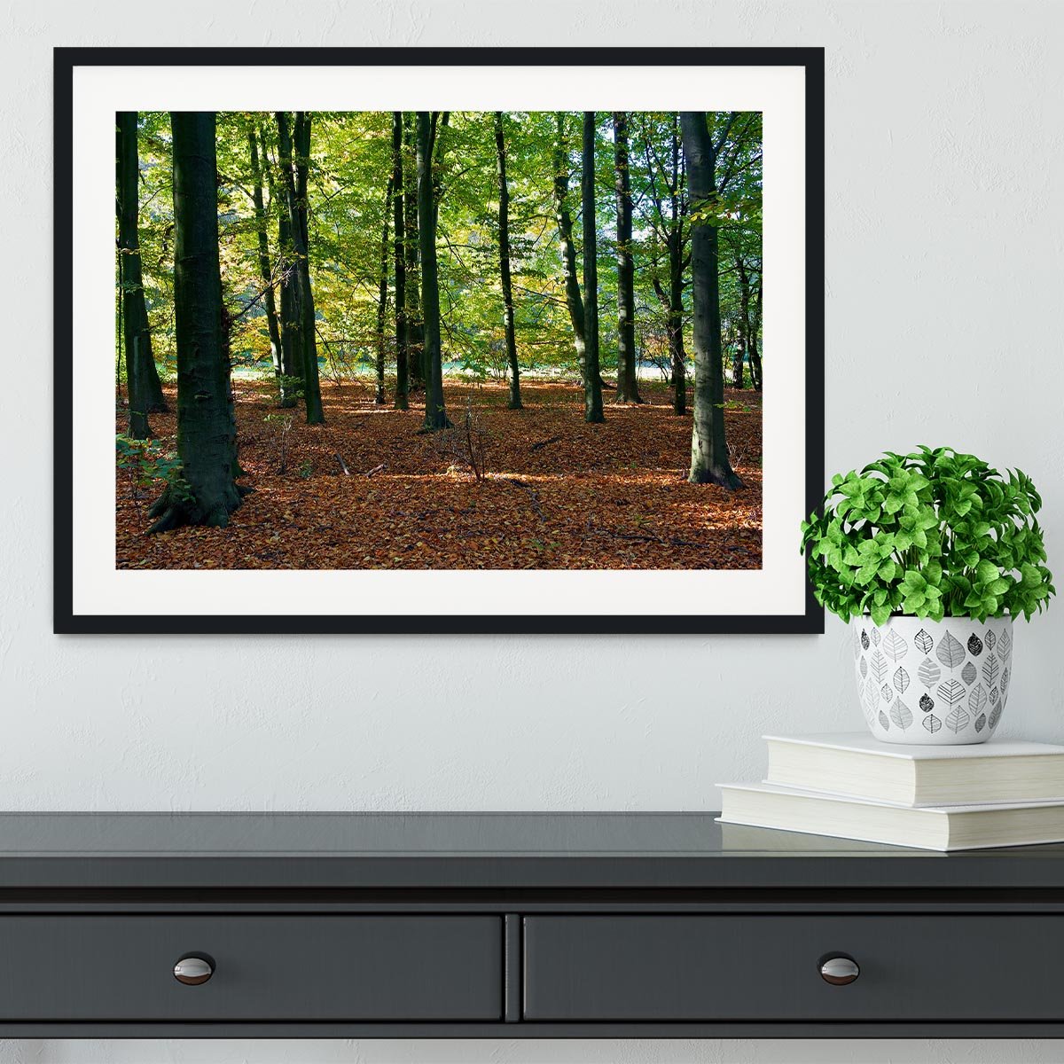 forrest edge in autumn Framed Print - Canvas Art Rocks - 1
