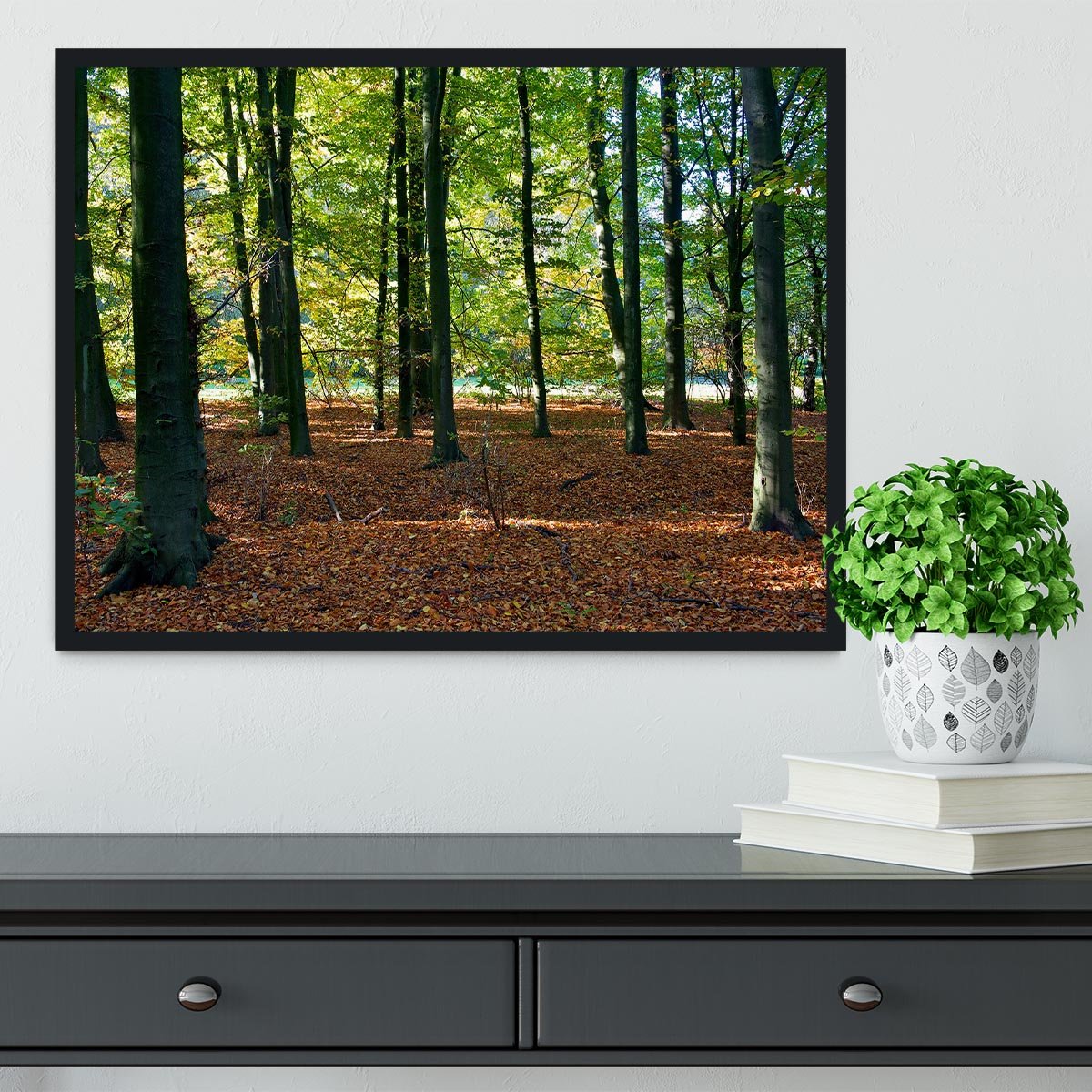 forrest edge in autumn Framed Print - Canvas Art Rocks - 2