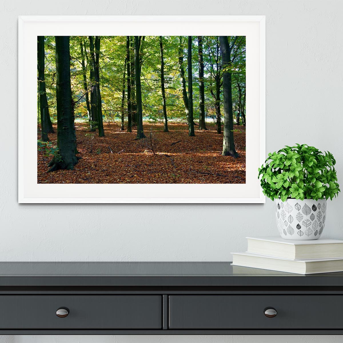 forrest edge in autumn Framed Print - Canvas Art Rocks - 5