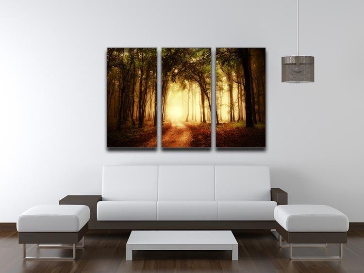 golden forest at autumn 3 Split Panel Canvas Print - Canvas Art Rocks - 3