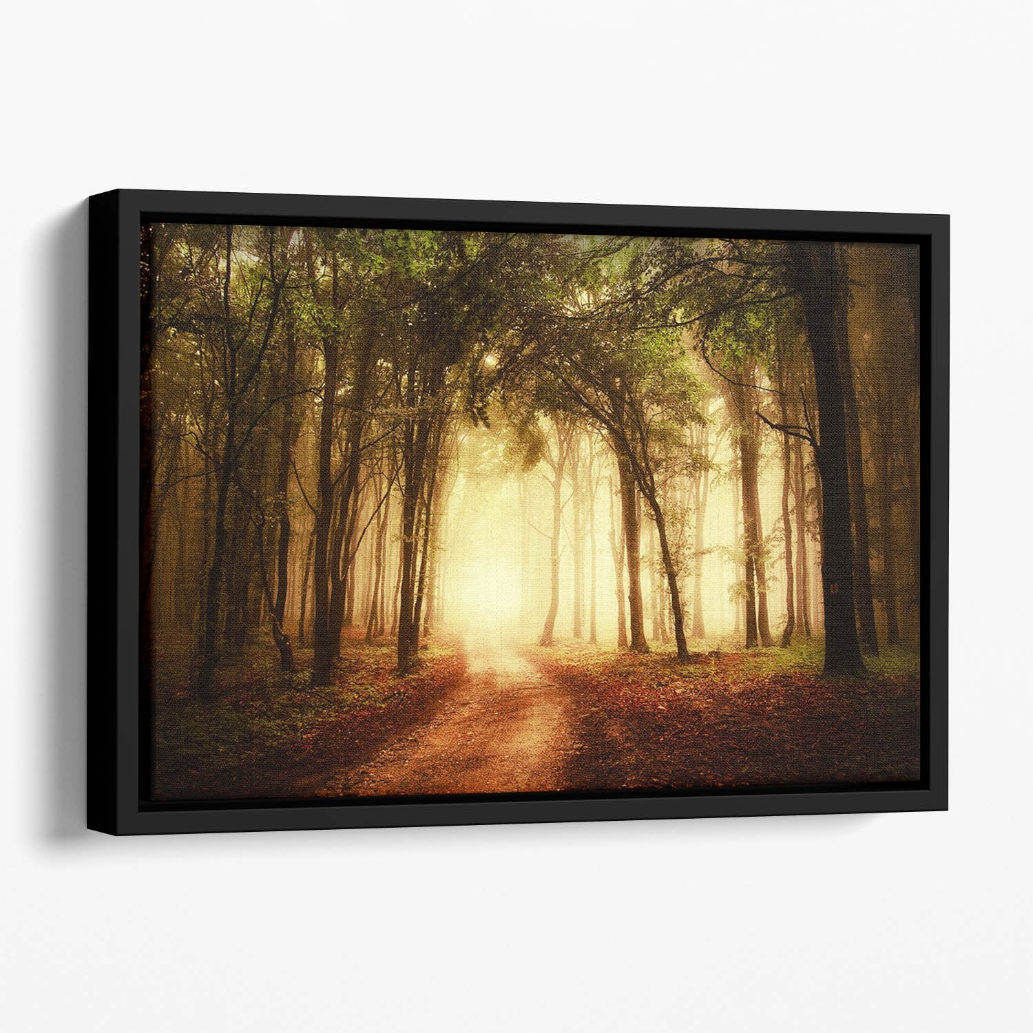 golden forest at autumn Floating Framed Canvas