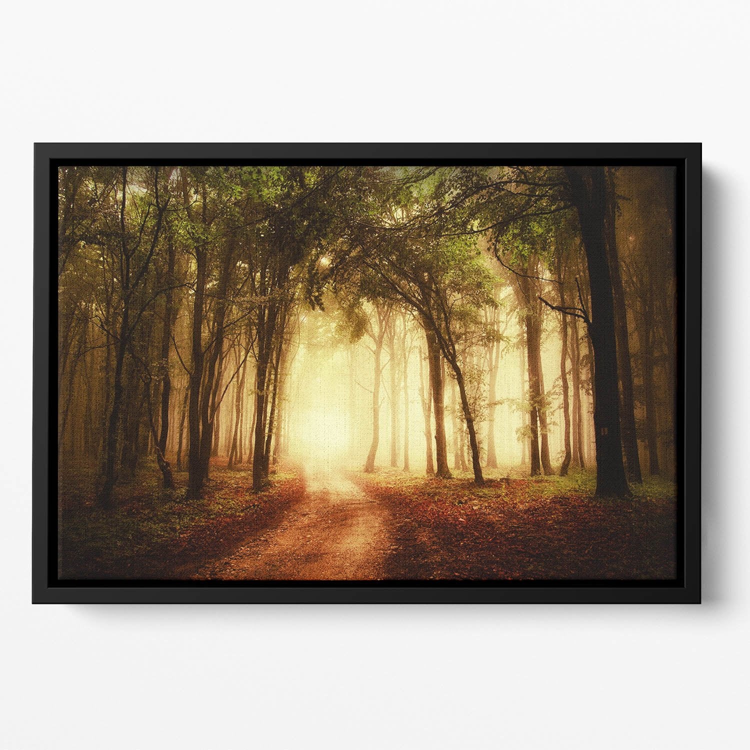 golden forest at autumn Floating Framed Canvas