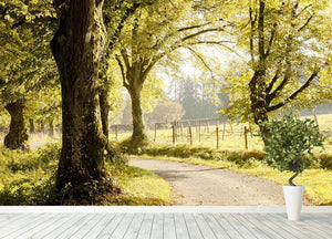 nice autumn landscape Wall Mural Wallpaper - Canvas Art Rocks - 4