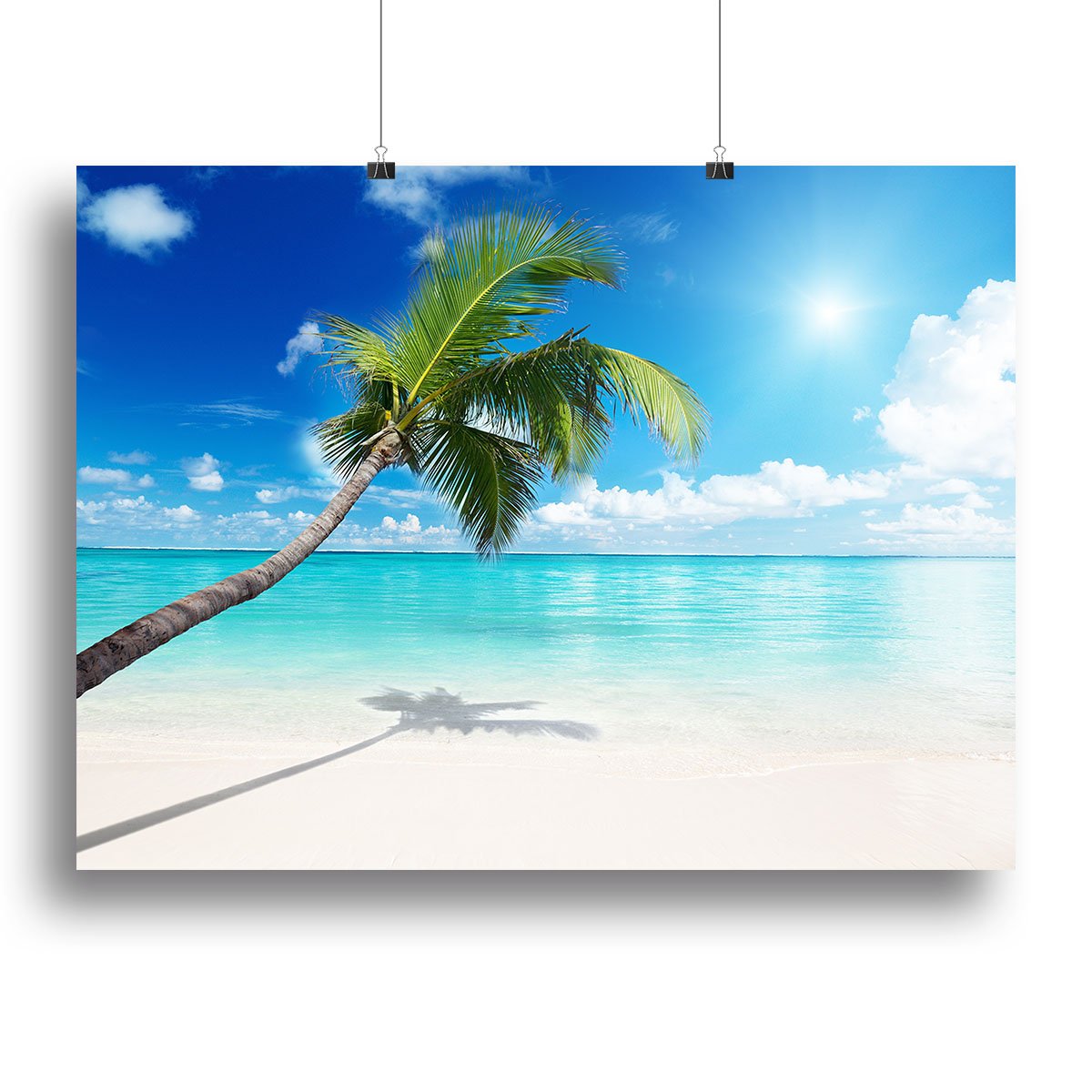 palm and beach Canvas Print or Poster