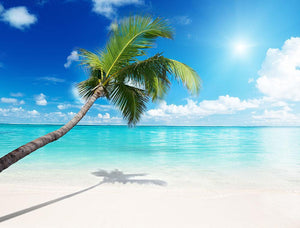 palm and beach Wall Mural Wallpaper - Canvas Art Rocks - 1