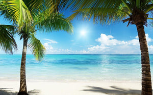 palms and beach Wall Mural Wallpaper - Canvas Art Rocks - 1