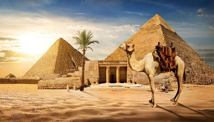 pyramid of Cheops Wall Mural Wallpaper