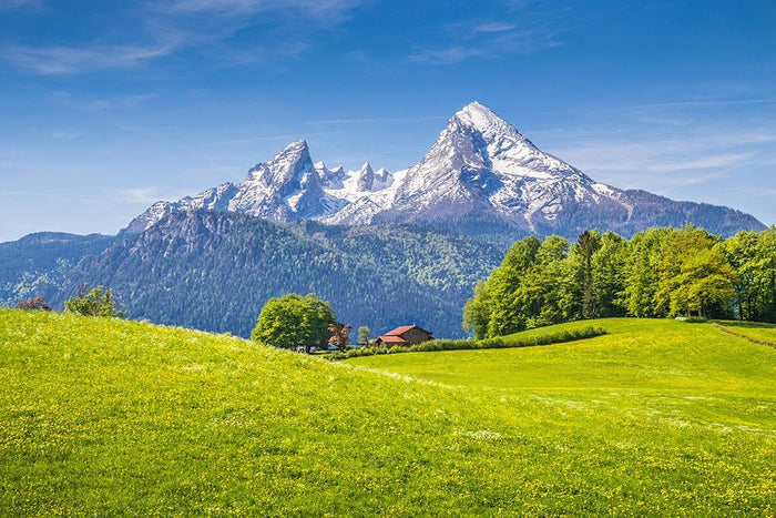 snowcapped mountain tops Wall Mural Wallpaper