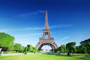sunny morning and Eiffel Tower Wall Mural Wallpaper - Canvas Art Rocks - 1