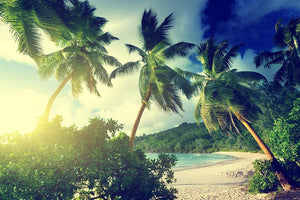sunset on the beach Takamaka Mahe Wall Mural Wallpaper - Canvas Art Rocks - 1