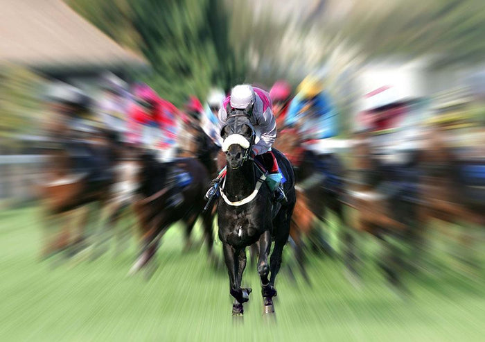 taken at plumpton uk Wall Mural Wallpaper