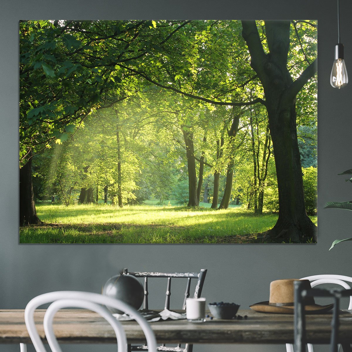 trees in a summer forest Canvas Print or Poster
