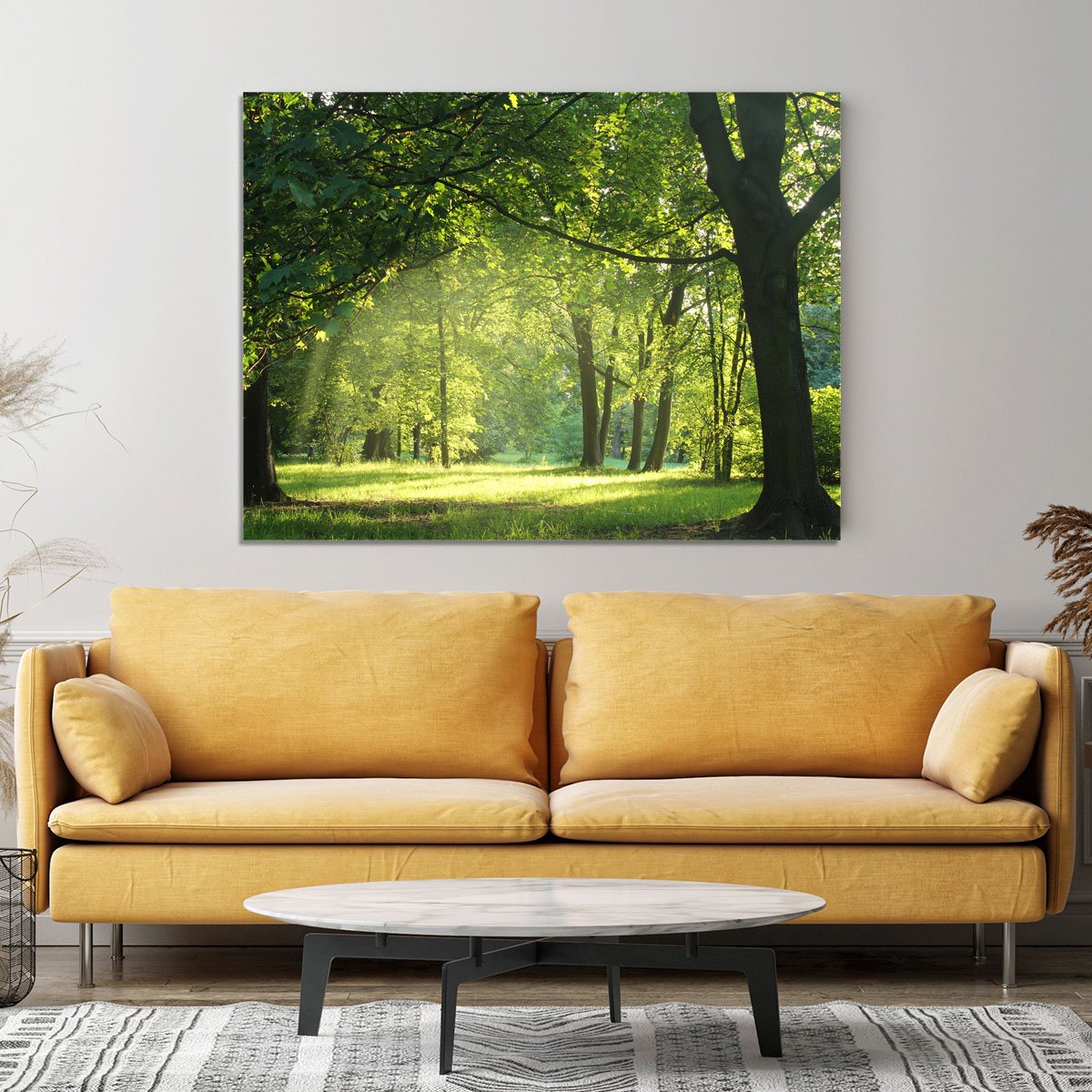 trees in a summer forest Canvas Print or Poster